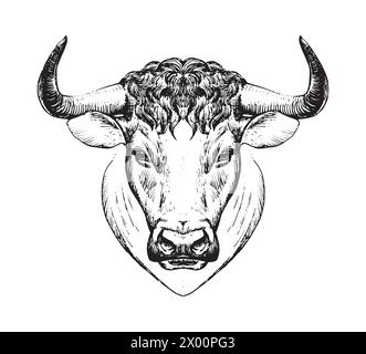 Année du bœuf, signe du zodiaque Taureau, visage de taureau, animal de ferme. Illustration isolée, logo de ligne, stylisation de tatouage, corrida espagnole. Main vectorielle Illustration de Vecteur