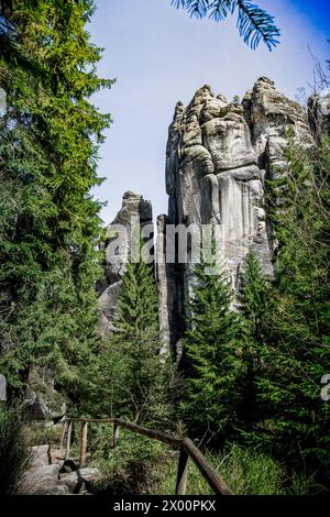 Forêt dense avec de hauts rochers à Adrspach Teplice, République tchèque Banque D'Images