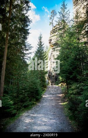 Chemin de terre traversant la forêt à Adrpach Teplice Rock formation Banque D'Images