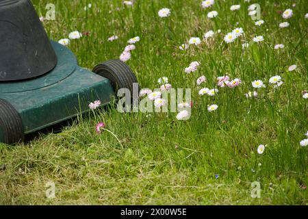 Tondeuse électrique et fleurs de printemps blanches et roses dans une pelouse de jardin verte avec vue à angle bas au niveau du sol Banque D'Images