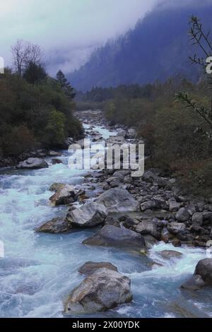 rivière de montagne lachung chu coulant à travers la forêt sur les contreforts de l'himalaya près de la station de colline de lachung dans le nord du sikkim, nord-est de l'inde Banque D'Images