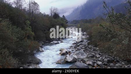 rivière de montagne lachung chu coulant à travers la forêt sur les contreforts de l'himalaya près de la station de colline de lachung dans le nord du sikkim, nord-est de l'inde Banque D'Images