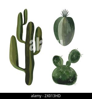 Ensemble de cactus. Plantes pour la maison. Floriculture. Flore du désert. Illustration d'aquarelle isolée sur fond blanc. Clipart. Banque D'Images