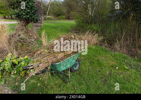 Brouette de jardin debout dans le jardin avec des branches sèches empilées dessus. Gros plan. Banque D'Images