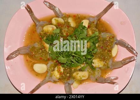 Crevettes crues fraîches en sauce de poisson les thaïlandais appellent Kung chae nampla Banque D'Images