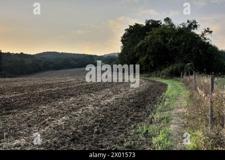 Paysage rural avec champ labouré et clôture en bois au crépuscule. Beau ciel coloré. Zone agricole, Chocholna, Slovaquie Banque D'Images