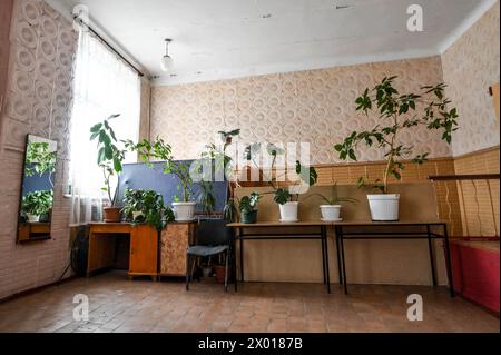 Non exclusif : ZAPORIZHZHIA, UKRAINE - 04 AVRIL 2024 - des plantes en pot sont vues dans une école locale, Zaporizhzhia, dans le sud-est de l'Ukraine Banque D'Images