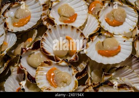 Coquilles Saint-Jacques fraîches, vendues à Mercato del Pesce al Minuto, le marché aux poissons de la ville lagunaire. Banque D'Images