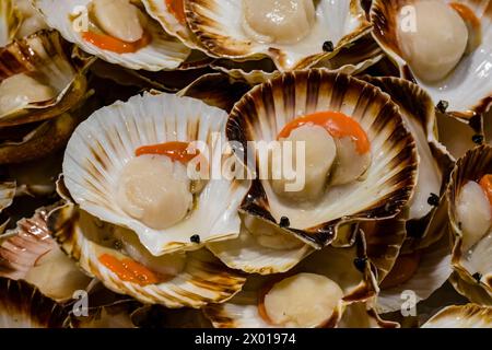 Coquilles Saint-Jacques fraîches, vendues à Mercato del Pesce al Minuto, le marché aux poissons de la ville lagunaire. Banque D'Images