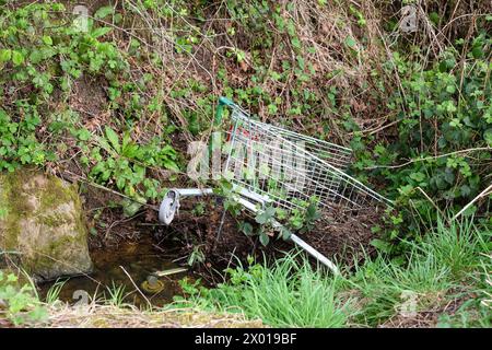 chariot de magasinage jeté dans un ruisseau Banque D'Images