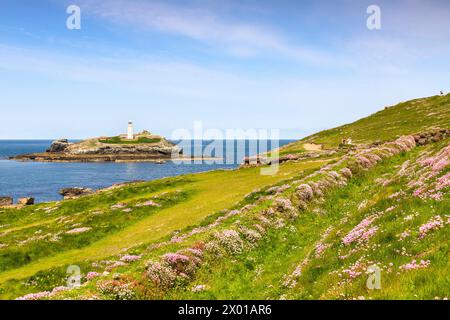 18 mai 2023 : Godrevy Head, Cornouailles, Royaume-Uni - Godrevy Head et Godrevy Lighthouse par une journée ensoleillée de printemps, et une abondance de friandises marines en fleurs. Banque D'Images