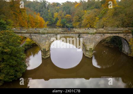 Pembends Bridge over River Wear à Durham au plus fort de l'automne Banque D'Images