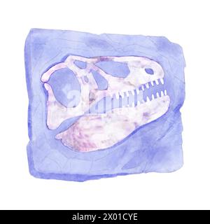 Fossile de dinosaure crânien Tyrannosaurus rex dans la roche. Conception de peinture aquarelle. Vecteur . Illustration de Vecteur