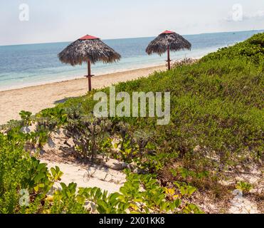 Gros plan de parasols faits de palmiers Banque D'Images