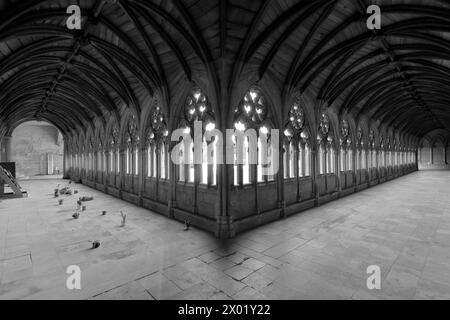 The Lincoln Cathedral Cloisters, comté de Lincolnshire, Angleterre, Royaume-Uni Banque D'Images
