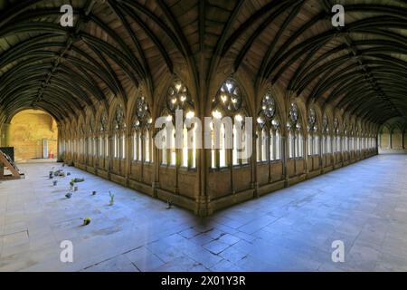 The Lincoln Cathedral Cloisters, comté de Lincolnshire, Angleterre, Royaume-Uni Banque D'Images