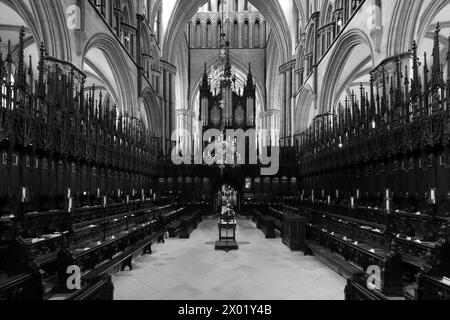 St Hughs Choir pisse dans la cathédrale de Lincoln, Lincoln City, comté de Lincolnshire, Angleterre, Royaume-Uni Banque D'Images