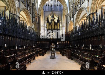 St Hughs Choir pisse dans la cathédrale de Lincoln, Lincoln City, comté de Lincolnshire, Angleterre, Royaume-Uni Banque D'Images