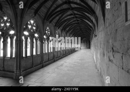 The Lincoln Cathedral Cloisters, comté de Lincolnshire, Angleterre, Royaume-Uni Banque D'Images