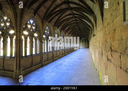 The Lincoln Cathedral Cloisters, comté de Lincolnshire, Angleterre, Royaume-Uni Banque D'Images