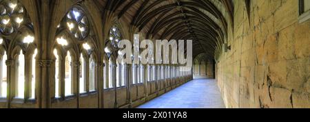 The Lincoln Cathedral Cloisters, comté de Lincolnshire, Angleterre, Royaume-Uni Banque D'Images