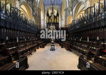 St Hughs Choir pisse dans la cathédrale de Lincoln, Lincoln City, comté de Lincolnshire, Angleterre, Royaume-Uni Banque D'Images