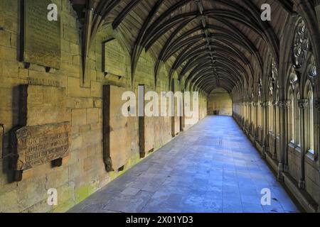 The Lincoln Cathedral Cloisters, comté de Lincolnshire, Angleterre, Royaume-Uni Banque D'Images