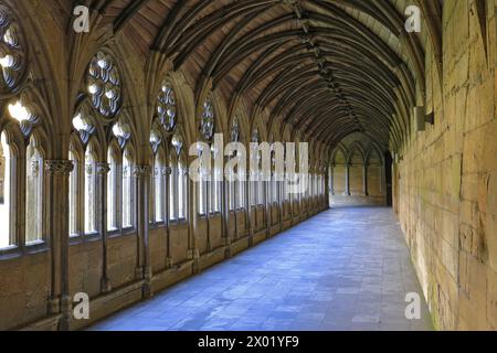 The Lincoln Cathedral Cloisters, comté de Lincolnshire, Angleterre, Royaume-Uni Banque D'Images