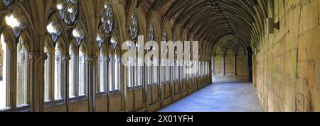 The Lincoln Cathedral Cloisters, comté de Lincolnshire, Angleterre, Royaume-Uni Banque D'Images