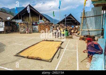 Vie traditionnelle du village naga à Kigwema dans le Nagaland, Inde Banque D'Images