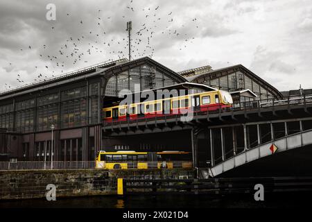 Gare de Friedrichstrasse à Berlin. Train sur le quai, un troupeau d'oiseaux au-dessus du terminal, vue depuis la rivière Banque D'Images