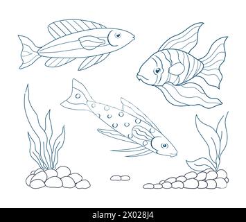 Ensemble sous-marin pour poissons. Poissons rouges, géophages et poissons rayés. Pierres avec des algues sur le fond. Illustration vectorielle Illustration de Vecteur