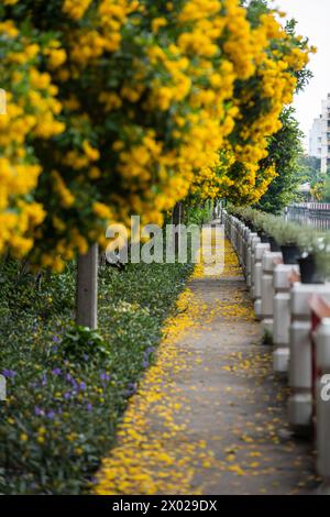 Une passerelle au canal Khlong Phasi Charoen à Thonburi dans la ville de Bangkok en Thaïlande. Thaïlande, Bangkok, Dezember, 4, 2023 Banque D'Images