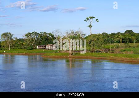 Maisons en bois sur pilotis dans la forêt inondée le long de la rivière Madère, état d'Amazonas, Brésil, Amérique du Sud Banque D'Images