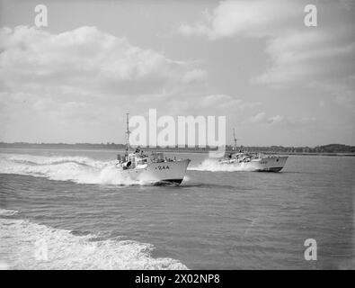 AVEC UNE FLOTTILLE VTT. 6 OCTOBRE 1944, FELIXSTOWE. VTT DE LA 21E FLOTTILLE SOUS LE COMMANDEMENT DU LIEUTENANT GEORGE J MACDONALD, DSO, DSC ET 2 BARS, RNZNVR, DE WELLINGTON, NOUVELLE-ZÉLANDE. L'ENGIN EST CONSTRUIT PAR VOSPER. - Vosper VTT à vitesse Royal Navy, VTT 296, Motor Torpedo Boat, (1942), Royal Navy, VTT 233, torpille à moteur, (1942) Banque D'Images