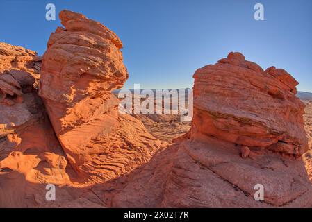 Une paire de hoodoos en grès à Ferry Swale dans la zone de loisirs de Glen Canyon près de page, Arizona, États-Unis d'Amérique, Amérique du Nord Banque D'Images