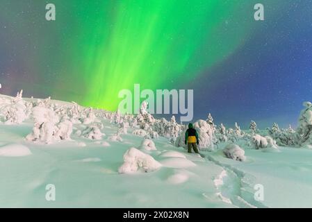 Vue arrière d'un homme dans la forêt gelée enneigée regardant les aurores boréales (aurores boréales) colorer le ciel Banque D'Images