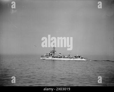 ESSAIS EXPÉRIMENTAUX DE NOUVEAUX LANCEURS DE CHARGES EN PROFONDEUR. 27 JUILLET 1941, À BORD DU HMS WHITEHALL. LES NOUVEAUX LANCEURS SONT MONTÉS SUR LE FO'C'SLE DES DESTROYERS ET SONT ACTIONNÉS À PARTIR DU PONT. - Une vue générale du HMS WHITEHALL, montrant les lanceurs de charge en profondeur dans les proues du destroyer Royal Navy, WHITEHALL (HMS) Banque D'Images