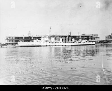 HMS ESKIMO, DESTROYER DE CLASSE TRIBALE BRITANNIQUE. SEPTEMBRE 1941. Royal Navy, ESKIMO (HMS), frégate Banque D'Images