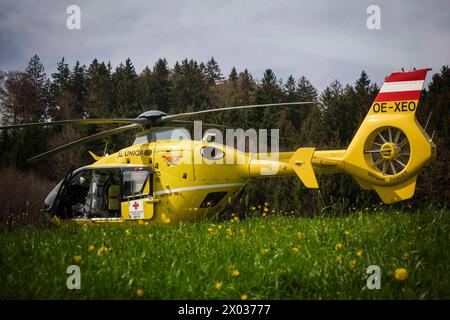 07.04.2024, Anthering, AUT, Unterwegs à Salzbourg, Symbolbild, Themenbild, Verschiedene Themenbilder, im Bild die Unfallstelle, C6, Rettungshubschrauber, Blumenwiese, Löwenzahn, Flug, *** 07 04 2024, Anthering, AUT, sur la route à Salzbourg, image symbolique, image à thème, diverses images à thème, dans l'image le site de l'accident, C6, hélicoptère de sauvetage, prairie de fleurs, pissenlit, vol, Banque D'Images