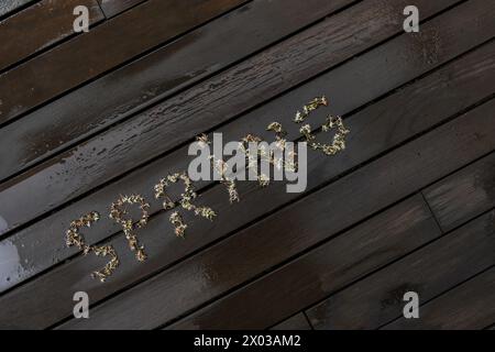 un signe de fleurs de printemps sur plancher de planche humide Banque D'Images