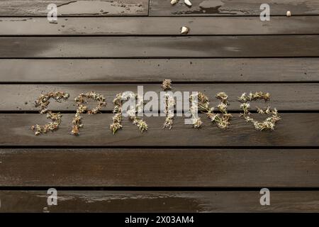 un signe de fleurs de printemps sur le plancher de planche humide d'une terrasse urbaine Banque D'Images