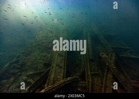 bateau wreck paysage sous-marin mer sous-marin fond marin poisson uw Banque D'Images