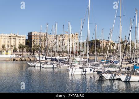 Yachts blancs amarrés dans une marina calme de Barcelone avec la ville formant une toile de fond pittoresque Banque D'Images