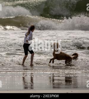 Bournemouth Dorset 9 avril 2024 Météo britannique ; les visiteurs apprécient le soleil printanier malgré les vents violents et la grande houle des tempêtes nocturnes. Chien et propriétaire appréciant la plage crédit : Ian Davidson/Alamy Live News Banque D'Images