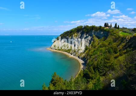 Vue de la baie de la Lune dans la réserve naturelle de Strunjan sur la côte de la mer Adriatique dans la région littorale de Slovénie au printemps Banque D'Images