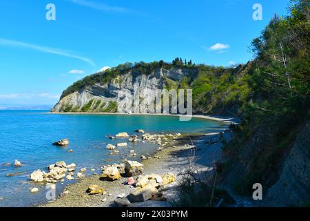 Vue sur la baie de la Lune avec une falaise flysch dans la réserve naturelle de Strunjan dans la région du littoral, Slovénie Banque D'Images