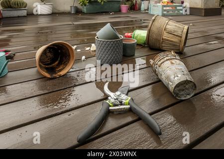 Pots de fleurs vides de toutes sortes à côté d'objets de jardinage assortis et de diverses plantes sur le plancher en bois avec des pots de fleurs en métal rouillé dans le premier groupe Banque D'Images