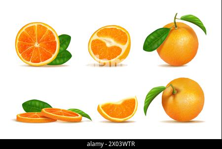 Orange. Entiers, demi-tranches et tranches de fruits, aliments frais aux agrumes rouges pour smoothie ou jus de fruits juteux vitaminé. Mandarine coupée fraîche morceaux et feuilles, élément isolé botanique réaliste. Illustration vectorielle 3D. Illustration de Vecteur