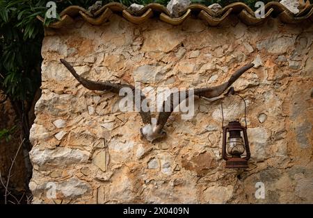 Crâne de chèvre sur un ancien mur vintage, esthétique marron, vieille lampe vintage rouillée sur un mur de pierre, tête de chèvre Girgentana, grandes cornes spirales Banque D'Images